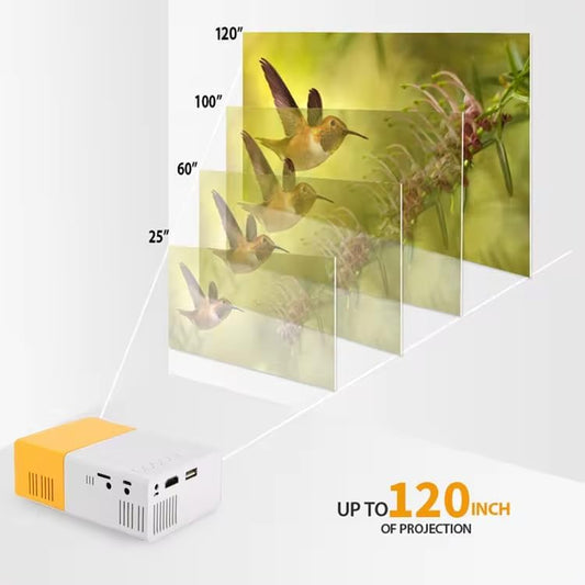 pro portable LED projector